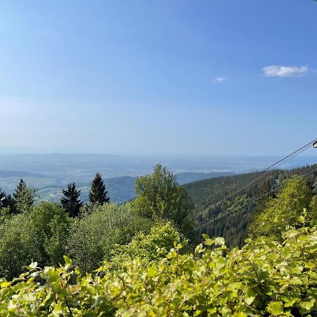 Neue Ferienwohnung Mit Whirlpool Und Sauna In Der Residenz Grafenmatt Inklusive Hochschwarzwaldcard Feldberg  Exteriér fotografie