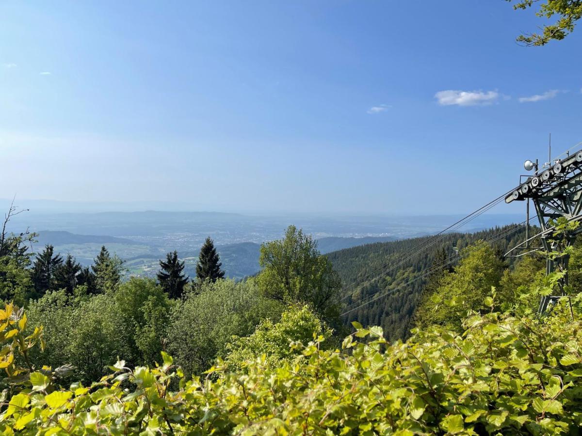 Neue Ferienwohnung Mit Whirlpool Und Sauna In Der Residenz Grafenmatt Inklusive Hochschwarzwaldcard Feldberg  Exteriér fotografie