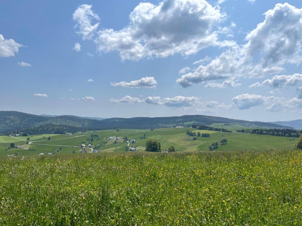 Neue Ferienwohnung Mit Whirlpool Und Sauna In Der Residenz Grafenmatt Inklusive Hochschwarzwaldcard Feldberg  Exteriér fotografie