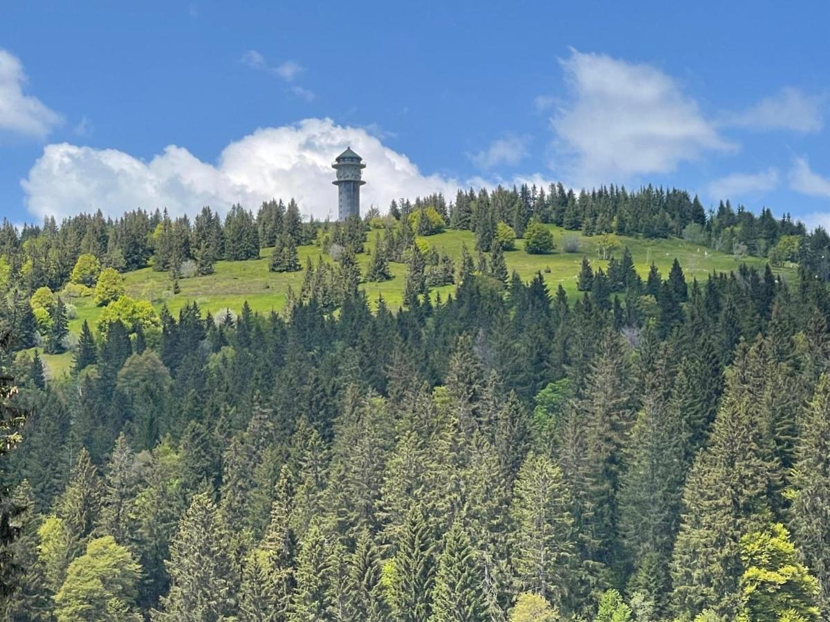 Neue Ferienwohnung Mit Whirlpool Und Sauna In Der Residenz Grafenmatt Inklusive Hochschwarzwaldcard Feldberg  Exteriér fotografie