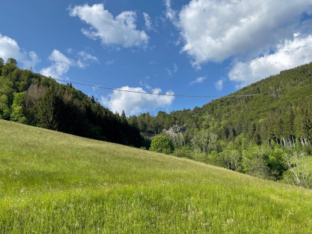 Neue Ferienwohnung Mit Whirlpool Und Sauna In Der Residenz Grafenmatt Inklusive Hochschwarzwaldcard Feldberg  Exteriér fotografie
